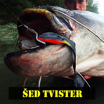 Šed Tvister