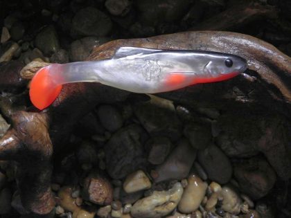 Shad 22 WB (1 kom.)