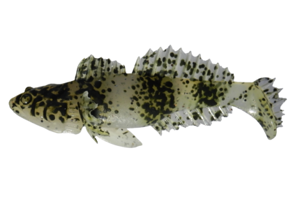 Bullhead 7 cm.