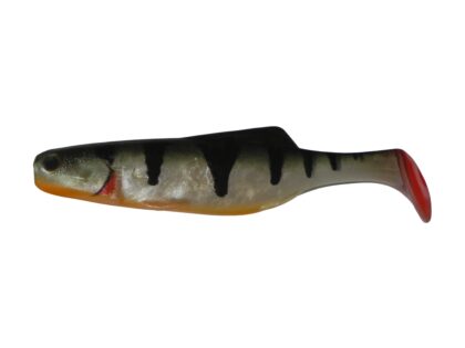SHAD 11 WP (5 kom.)